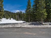 Snowy Road in Colorado: A Landscape Leading to a Tranquil Lake