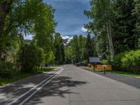 an empty street lined with trees and a mountain range in the distance in the back