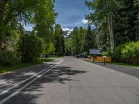 an empty street lined with trees and a mountain range in the distance in the back