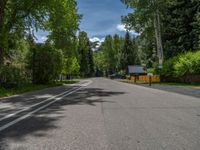 an empty street lined with trees and a mountain range in the distance in the back