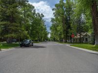 a road and trees line a residential street in a residential area in a neighborhood with no parking