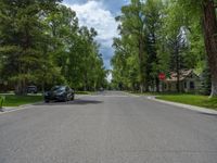 a road and trees line a residential street in a residential area in a neighborhood with no parking