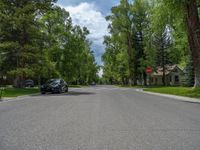 a road and trees line a residential street in a residential area in a neighborhood with no parking