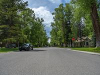 a road and trees line a residential street in a residential area in a neighborhood with no parking