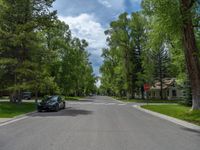 a road and trees line a residential street in a residential area in a neighborhood with no parking