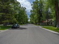 a road and trees line a residential street in a residential area in a neighborhood with no parking