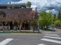 street corner with tree on the corner of the corner and a building behind it that is surrounded by multiple windows and a perforated brown lattice