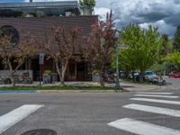 street corner with tree on the corner of the corner and a building behind it that is surrounded by multiple windows and a perforated brown lattice