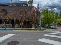 street corner with tree on the corner of the corner and a building behind it that is surrounded by multiple windows and a perforated brown lattice