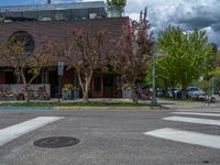 street corner with tree on the corner of the corner and a building behind it that is surrounded by multiple windows and a perforated brown lattice