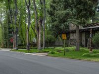 an empty street lined with trees and a mountain range in the distance in the back