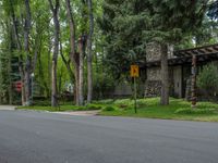 an empty street lined with trees and a mountain range in the distance in the back