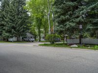 an empty street lined with trees and a mountain range in the distance in the back