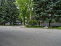 an empty street lined with trees and a mountain range in the distance in the back