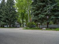 an empty street lined with trees and a mountain range in the distance in the back