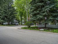 an empty street lined with trees and a mountain range in the distance in the back