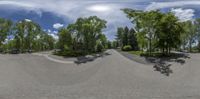 a long empty street is full of cars and trees under blue skies with white clouds