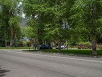 a road and trees line a residential street in a residential area in a neighborhood with no parking