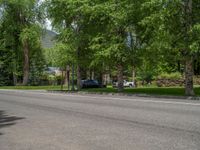 a road and trees line a residential street in a residential area in a neighborhood with no parking