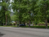 a road and trees line a residential street in a residential area in a neighborhood with no parking