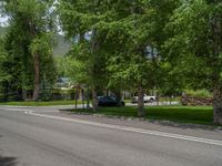 a road and trees line a residential street in a residential area in a neighborhood with no parking