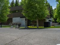 an empty street lined with trees and a mountain range in the distance in the back