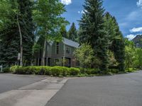 an empty street lined with trees and a mountain range in the distance in the back