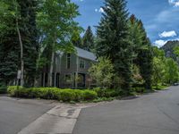 an empty street lined with trees and a mountain range in the distance in the back