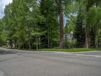 a road and trees line a residential street in a residential area in a neighborhood with no parking