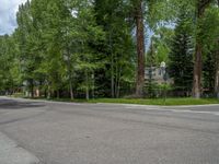 a road and trees line a residential street in a residential area in a neighborhood with no parking