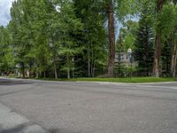 a road and trees line a residential street in a residential area in a neighborhood with no parking