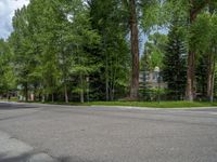 a road and trees line a residential street in a residential area in a neighborhood with no parking