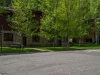 an empty street lined with trees and a mountain range in the distance in the back