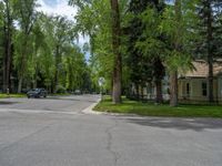 a road and trees line a residential street in a residential area in a neighborhood with no parking