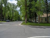 a road and trees line a residential street in a residential area in a neighborhood with no parking