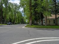 a road and trees line a residential street in a residential area in a neighborhood with no parking