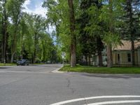 a road and trees line a residential street in a residential area in a neighborhood with no parking