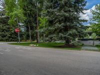 an empty street lined with trees and a mountain range in the distance in the back