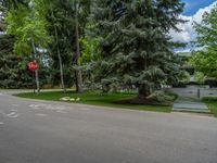 an empty street lined with trees and a mountain range in the distance in the back