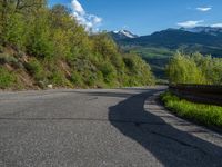 Colorado Suburban Road Lined with Aspen Trees