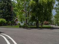 an empty street lined with trees and a mountain range in the distance in the back