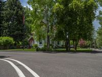 an empty street lined with trees and a mountain range in the distance in the back