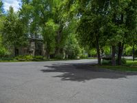 an empty street lined with trees and a mountain range in the distance in the back