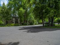 an empty street lined with trees and a mountain range in the distance in the back