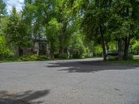 an empty street lined with trees and a mountain range in the distance in the back