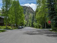 an empty street lined with trees and a mountain range in the distance in the back