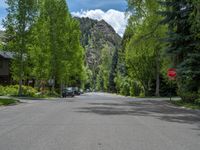 an empty street lined with trees and a mountain range in the distance in the back