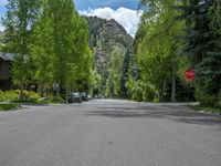 an empty street lined with trees and a mountain range in the distance in the back