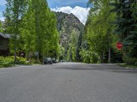 an empty street lined with trees and a mountain range in the distance in the back