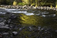 Colorado Taylor River Landscape Nature 001